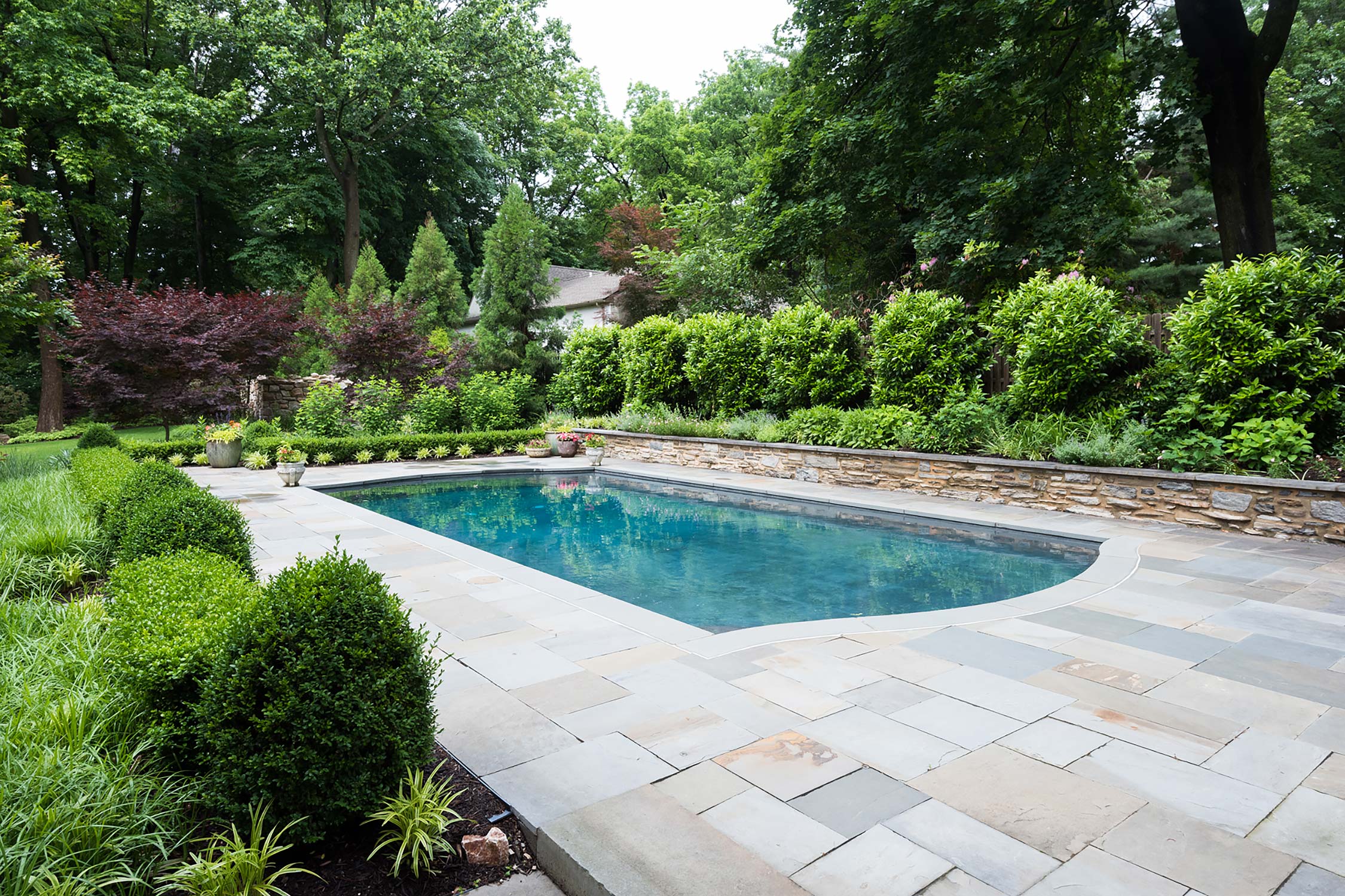 Serene backyard pool surrounded by lush greenery and stone paving, featuring a tranquil setting with tall trees and manicured shrubs.