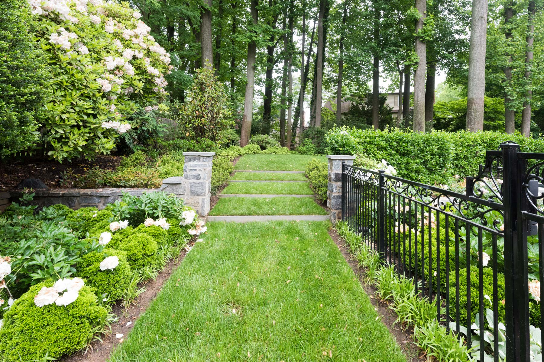 Serene garden path with stone steps, lush greenery, blooming flowers, and a black iron fence, framed by tall trees.