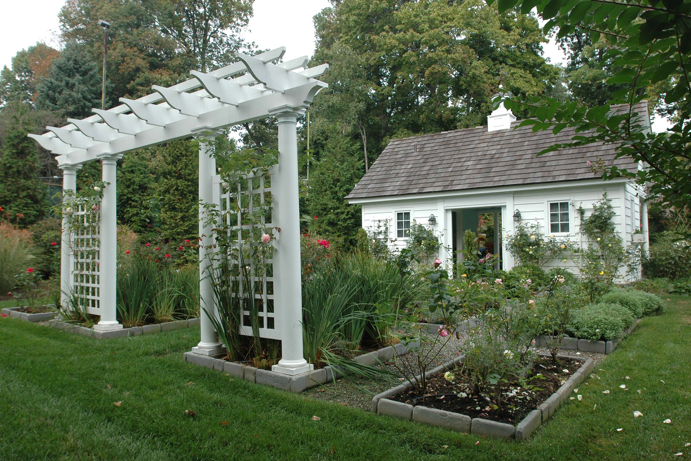 Charming garden with white pergola, rose-covered trellises, and a quaint white cottage surrounded by lush greenery.